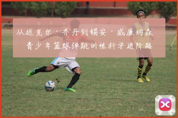 从迈克尔·乔丹到锡安·威廉姆森：青少年篮球弹跳训练科学进阶路径