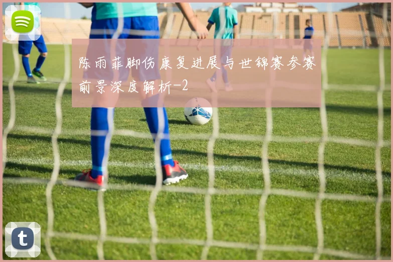 陈雨菲脚伤康复进展与世锦赛参赛前景深度解析