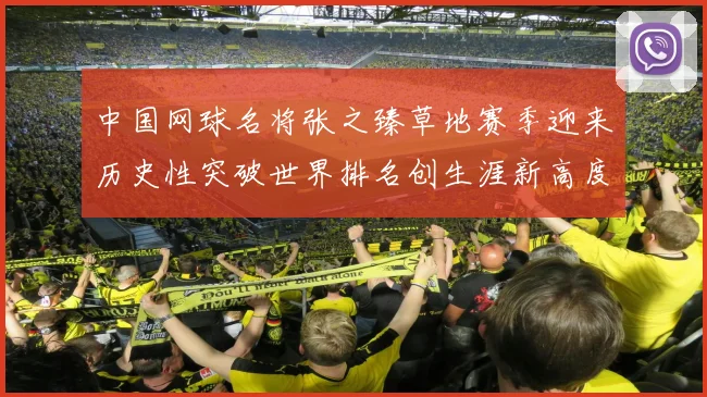 中国网球名将张之臻草地赛季迎来历史性突破世界排名创生涯新高度