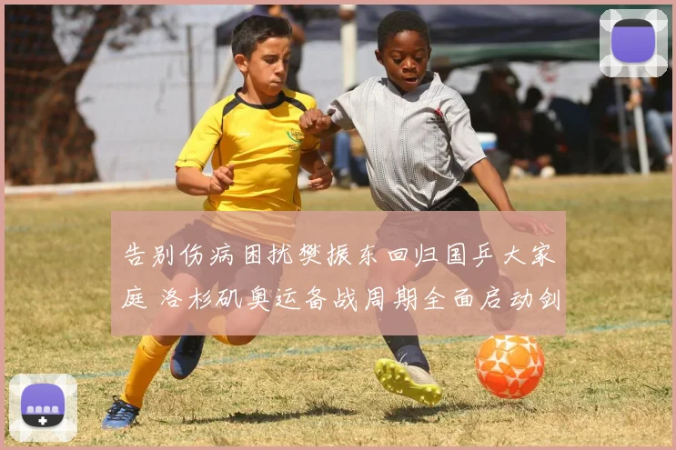 告别伤病困扰樊振东回归国乒大家庭 洛杉矶奥运备战周期全面启动剑指冠军