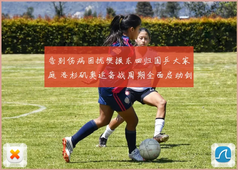 告别伤病困扰樊振东回归国乒大家庭 洛杉矶奥运备战周期全面启动剑指冠军