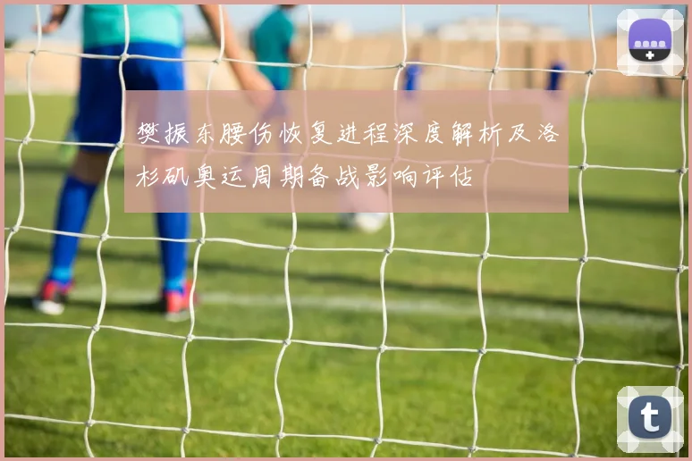 樊振东腰伤恢复进程深度解析及洛杉矶奥运周期备战影响评估